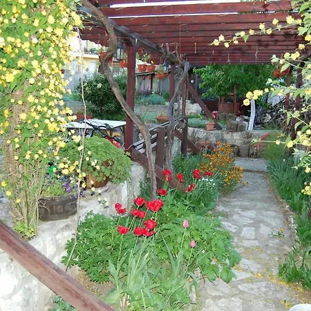 Apartament Vinitsa